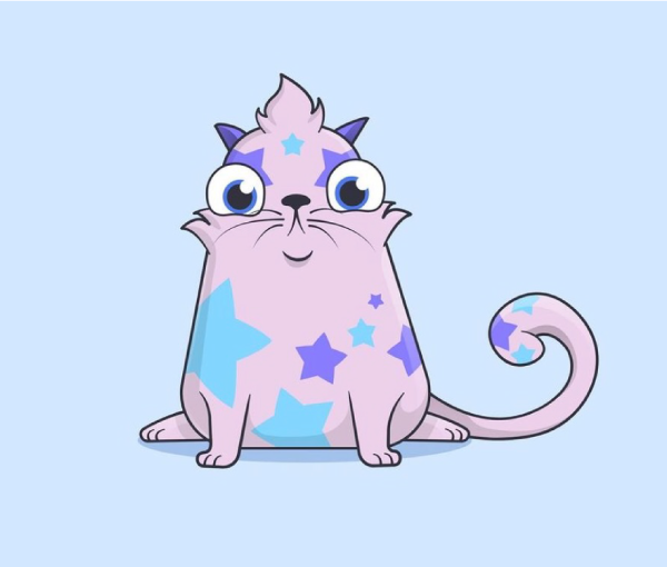 The star kitty