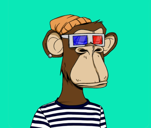 The 3d monkey