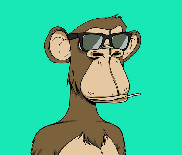 The visionary monkey